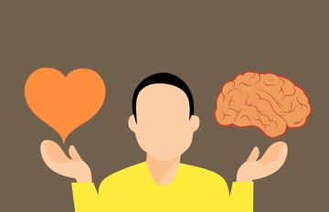 decision-brain-heart-mind-difficult-vs-1585031-pxhere.com inteligencia emocional