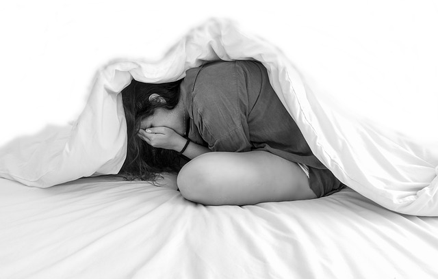 fear-5462288_640 ¿qué es la ansiedad?